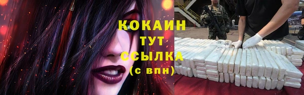 прущие грибы Михайловка
