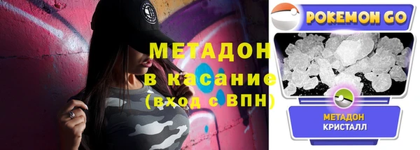 прущие грибы Михайловка