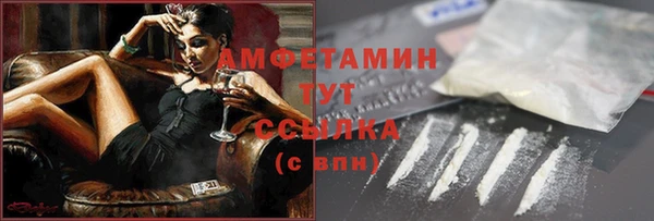 прущие грибы Михайловка