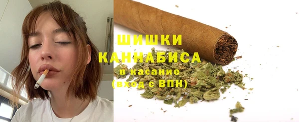 прущие грибы Михайловка