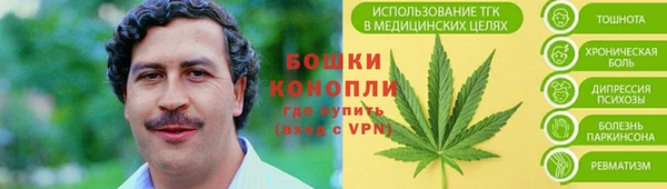 прущие грибы Михайловка