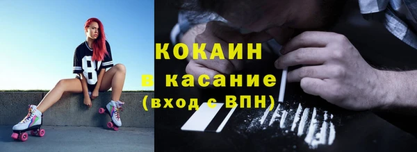 тгк Михайлов