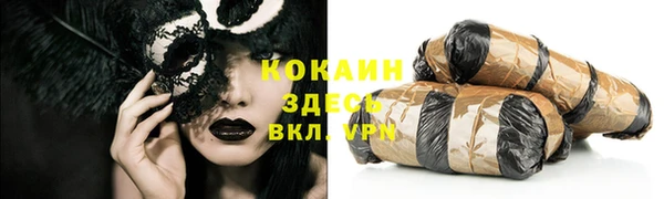 тгк Михайлов