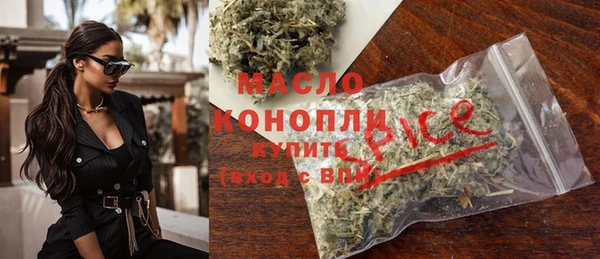 тгк Михайлов