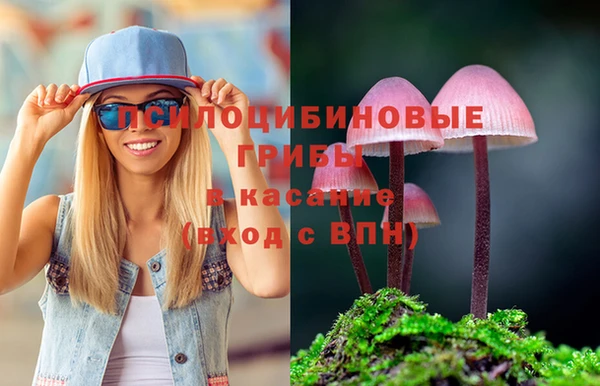 прущие грибы Медногорск