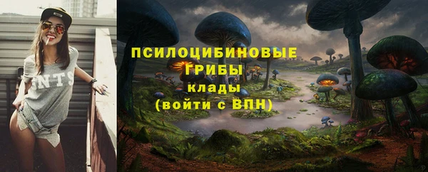 тгк Михайлов