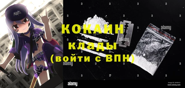 тгк Михайлов