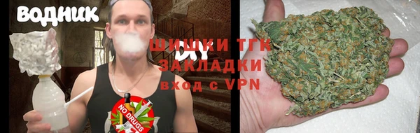 тгк Михайлов