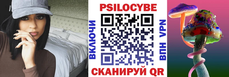 Галлюциногенные грибы Cubensis  kraken маркетплейс  Сычёвка  цены наркотик 